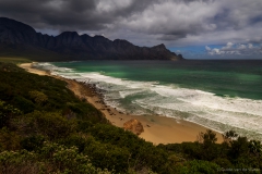 Coastal view in South Africa