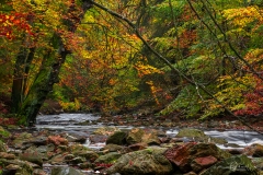 Autumn river.
