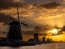 Windmills during sunrise.