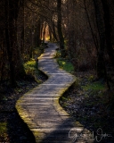 Path to the light.